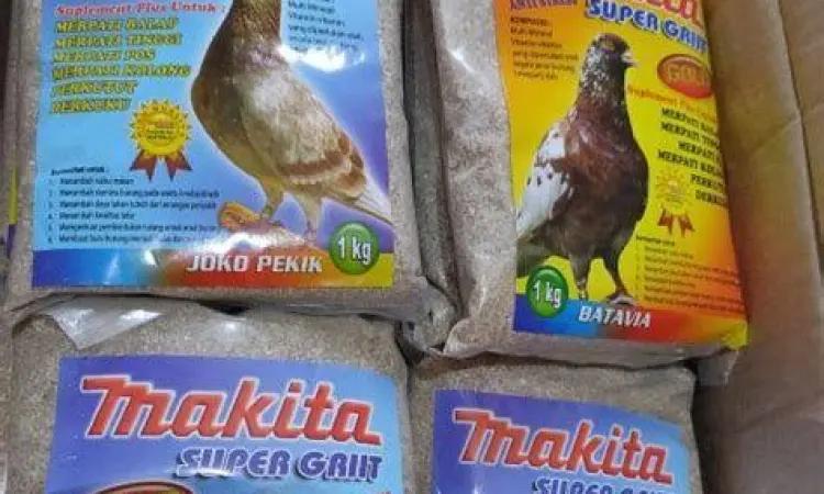 Pakan merpati berkualitas Pakan merpati berkualitas