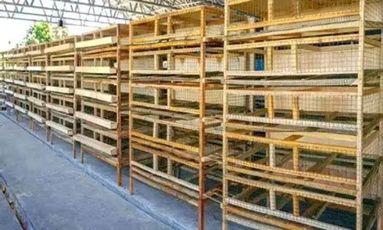 desain kandang burung puyuh modern