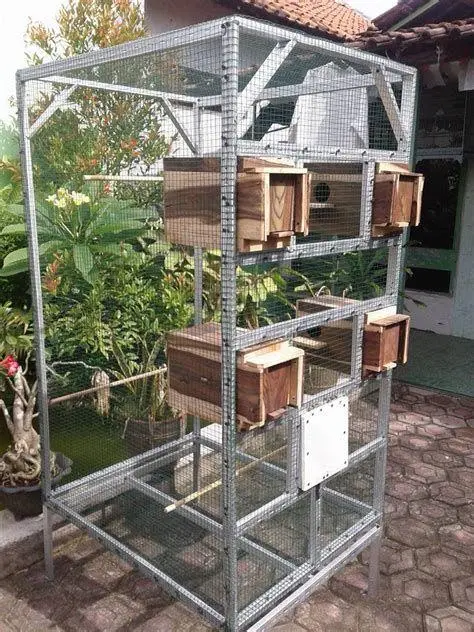 kandang ternak burung kandang ternak burung