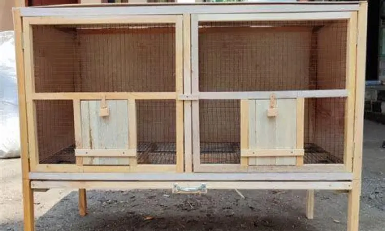 kandang merpati modern