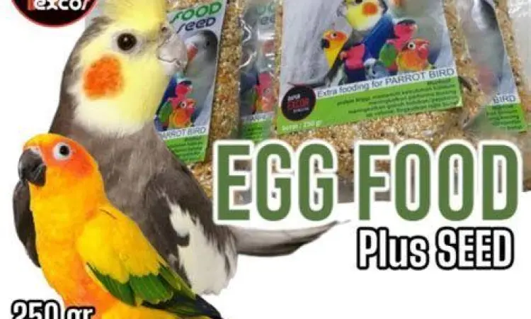 pakan milet dan sayuran parkit