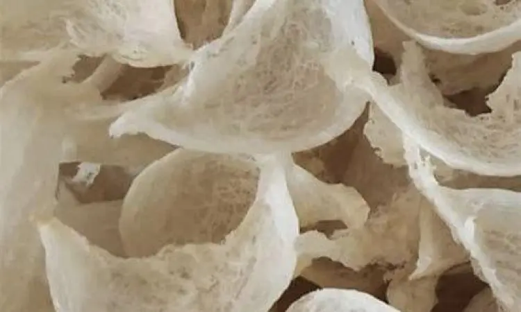 sarang burung walet sarang burung walet