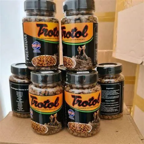 anakan burung murai ternak anakan burung murai ternak