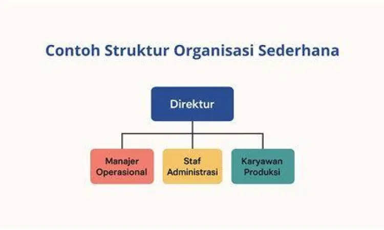 bagan organisasi startup