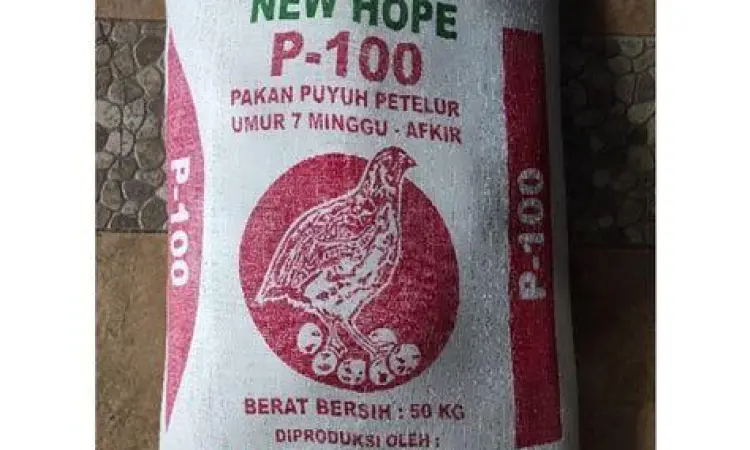 pakan burung puyuh pakan burung puyuh