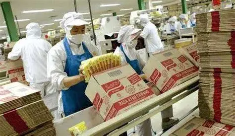 lini produksi makanan indofood lini produksi makanan indofood