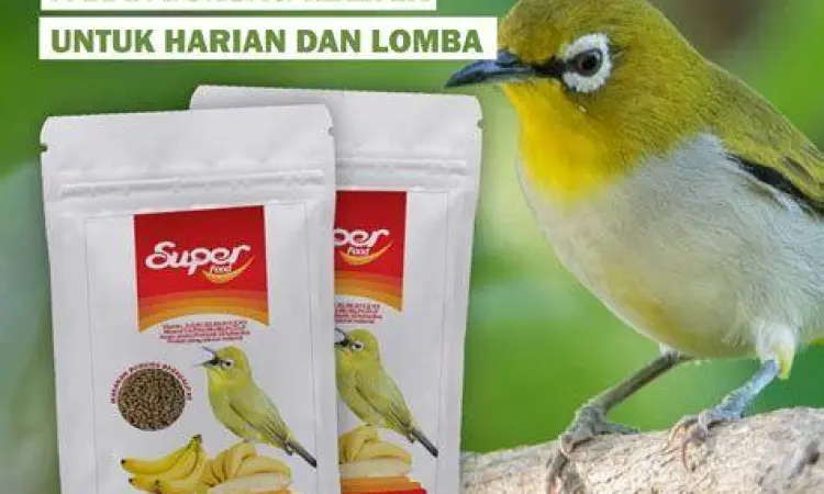 Pakan Pleci Pakan Pleci