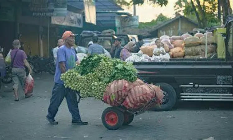 distribusi pangan distribusi pangan