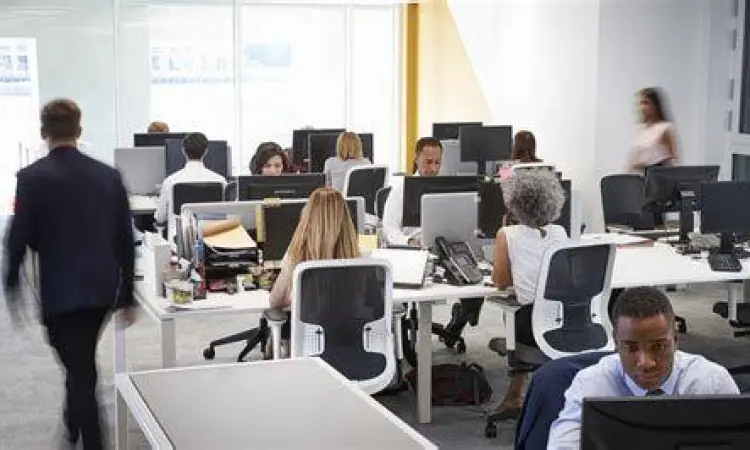 Budaya Kerja Perusahaan Swasta Karyawan startup teknologi swasta