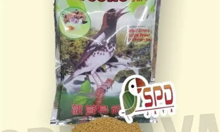 pakan jalak putih pakan protein tinggi jalak putih