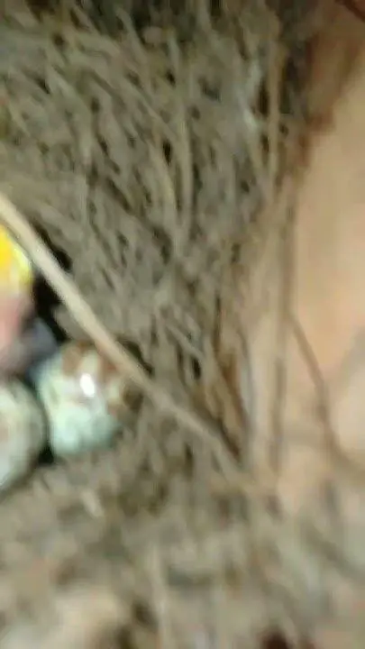 Analisis Jurnal Umum Analisis laporan keuangan perusahaan dagang