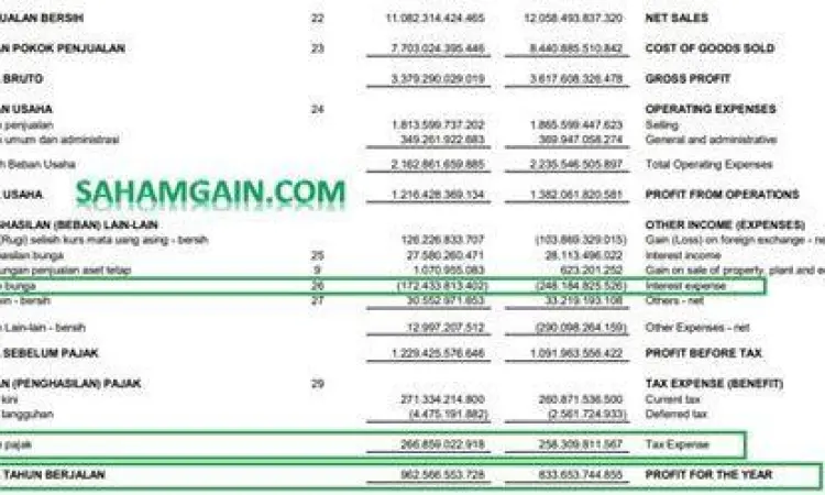Analisis Kinerja Operasional Analisis laporan keuangan menggunakan indikator EBITDA