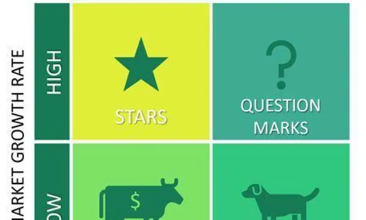 Analisis Matriks BCG untuk portofolio perusahaan