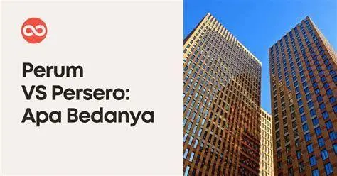 Perbedaan Persero vs Perum Infografis perbedaan persero dan perum