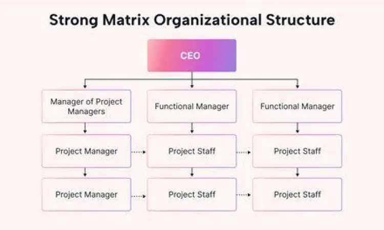 Diagram struktur organisasi matriks