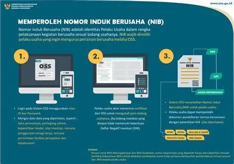 Sistem OSS RBA Tampilan dashboard sistem pendaftaran NIB online