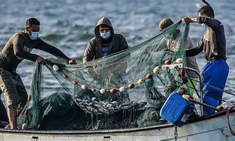 Usaha ekstraktif perikanan laut tangkap