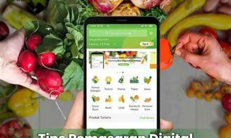 Petani milenial memotret hasil panen untuk dijual online