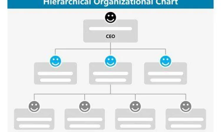 Bagan Struktur Organisasi Diagram struktur organisasi perusahaan fungsional dan divisional