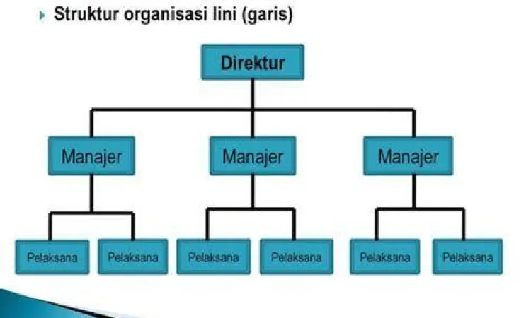 Infografis struktur organisasi perusahaan korporasi