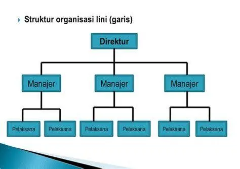Struktur Organisasi Korporasi Infografis struktur organisasi perusahaan korporasi