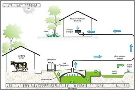 Pengolahan Limbah Instalasi pengolahan limbah peternakan ayam