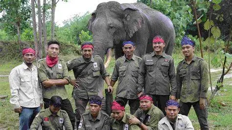 Konservasi Alam Indonesia Aktivitas konservasi lingkungan WWF