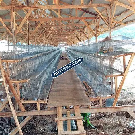 Infrastruktur Kandang Baterai Kandang baterai ayam petelur efisien