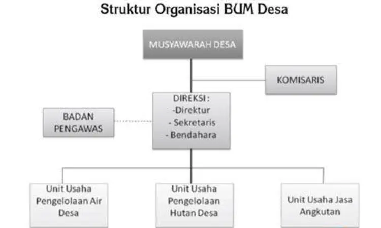 Struktur organisasi BUMDes yang profesional