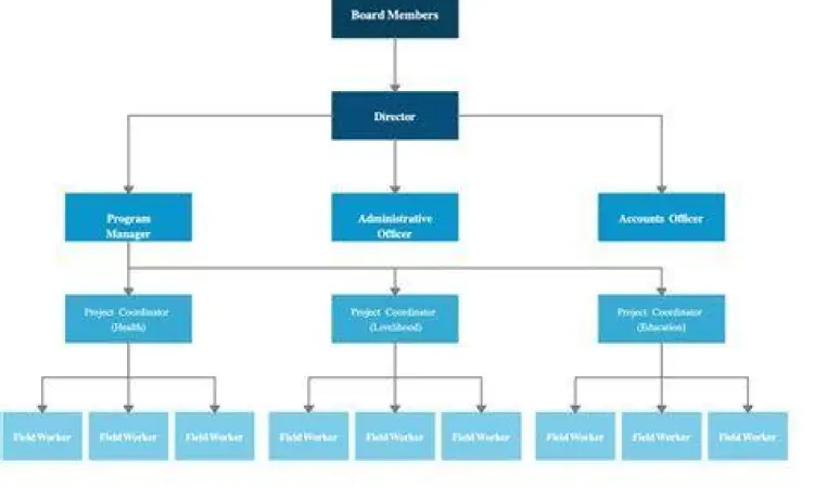 Diagram Struktur Organisasi Diagram struktur organisasi perusahaan fungsional dan divisi