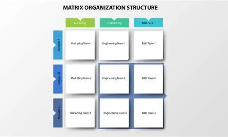 Ilustrasi struktur organisasi matriks dalam tim proyek
