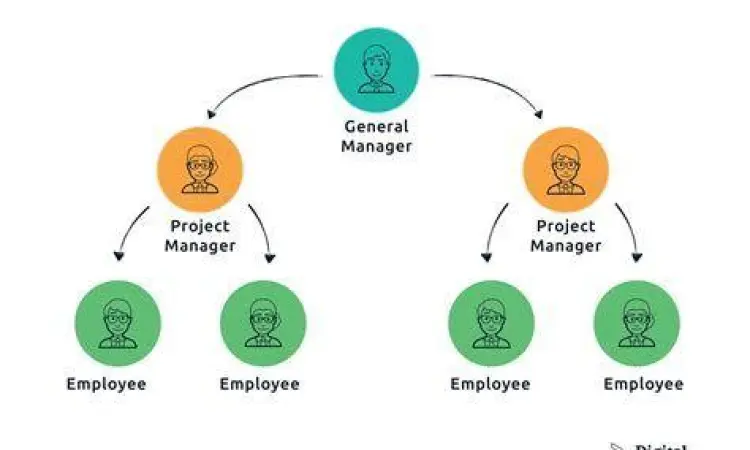 Struktur Organisasi Flat Struktur organisasi datar pada perusahaan startup