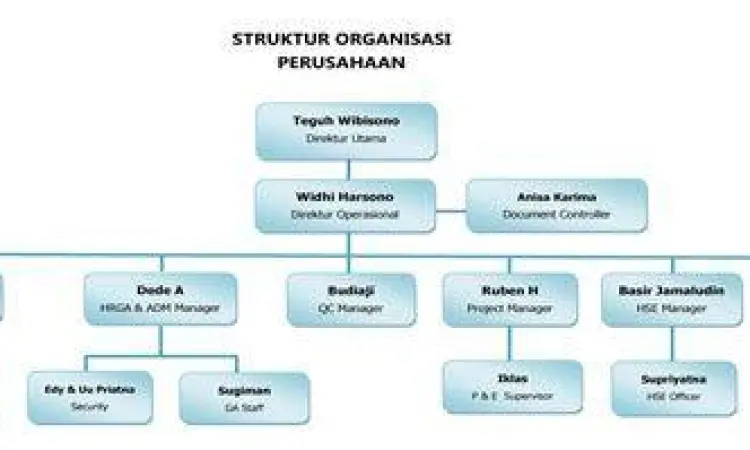 Struktur Organisasi PT Bagan struktur organisasi perseroan terbatas yang profesional