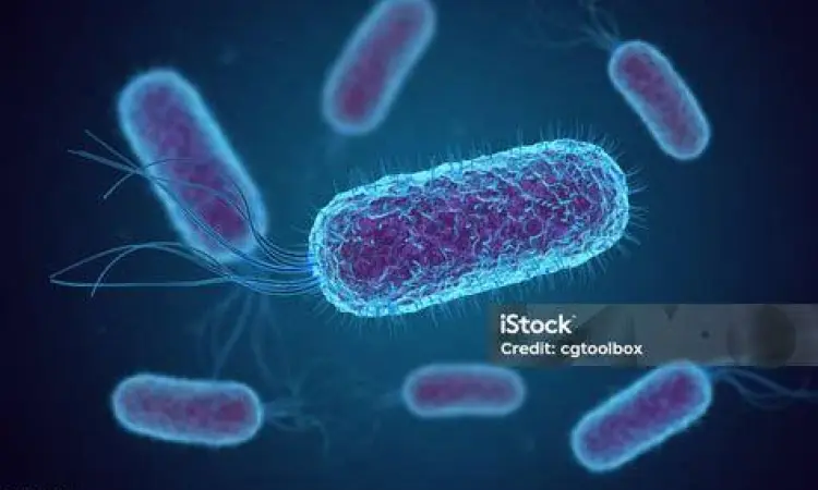 Template laporan laba rugi perusahaan jasa yang sederhana