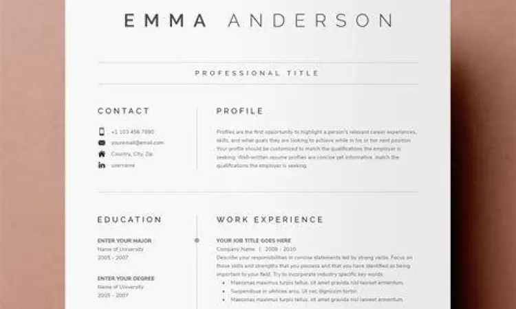 Layout CV profesional yang bersih dan mudah dibaca