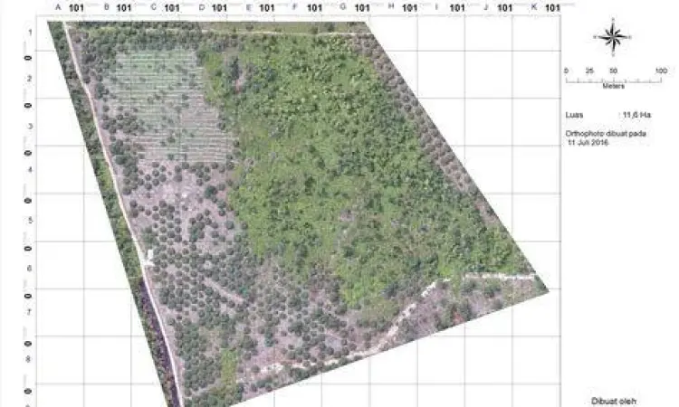 Peta digital lahan perkebunan untuk syarat IUP