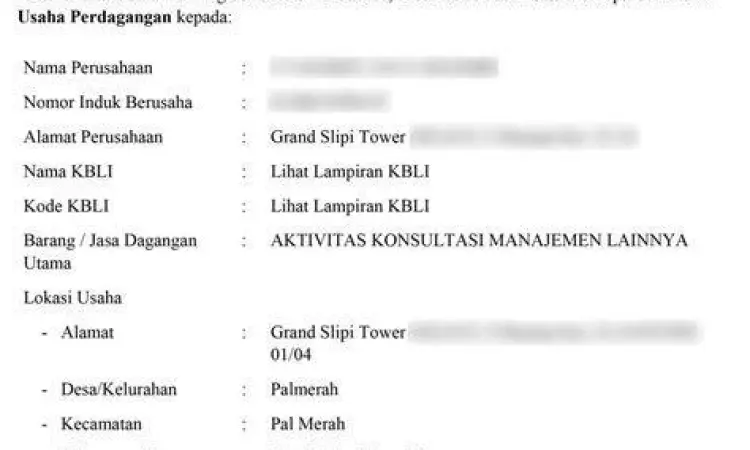 NIB Salon Kecantikan Format NIB untuk salon kecantikan