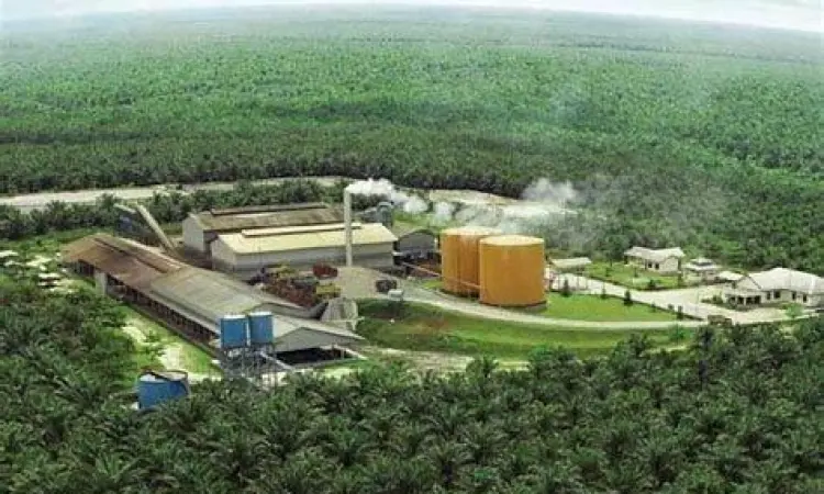 Suasana kantor perusahaan perkebunan sawit yang profesional