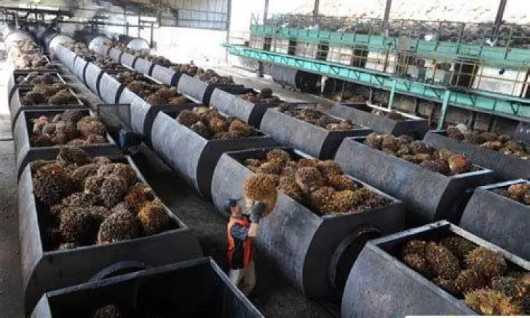 Pabrik pengolahan kelapa sawit atau mill dengan teknologi modern