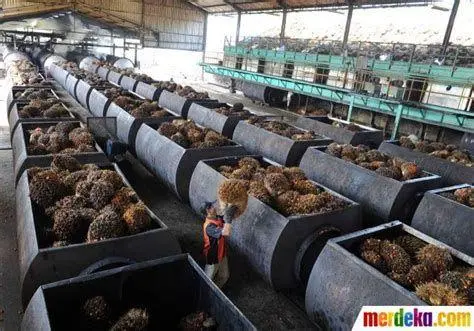 Pabrik Kelapa Sawit Pabrik pengolahan kelapa sawit atau mill dengan teknologi modern