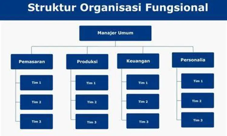 Bagan organisasi perusahaan fungsional yang umum digunakan