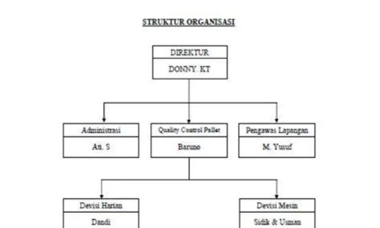 Struktur Organisasi CV Contoh gambar struktur organisasi CV sederhana