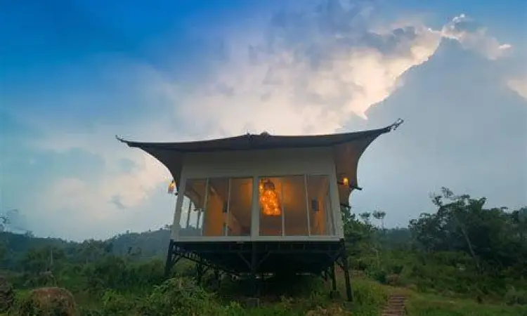 Peluang usaha glamping sebagai akomodasi wisata modern