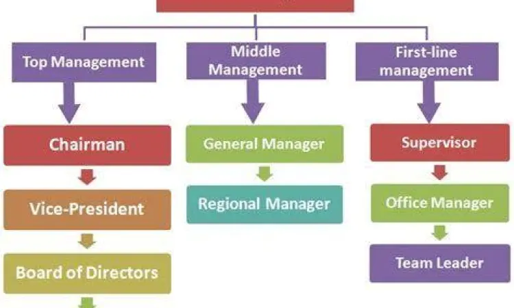 Diagram Hierarki Manajemen Diagram hierarki manajemen perusahaan yang menunjukkan alur pelaporan