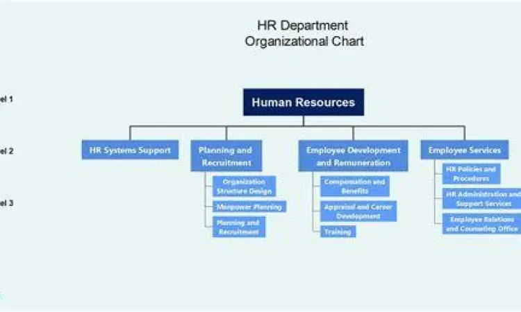 Software HR modern untuk membuat bagan organisasi