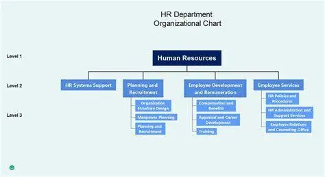 Visualisasi Software HR Software HR modern untuk membuat bagan organisasi
