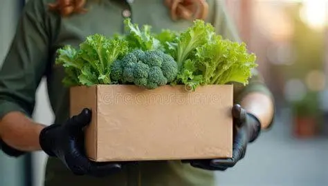 Katering Sehat NutriLife Konsep katering makanan sehat dengan bahan organik