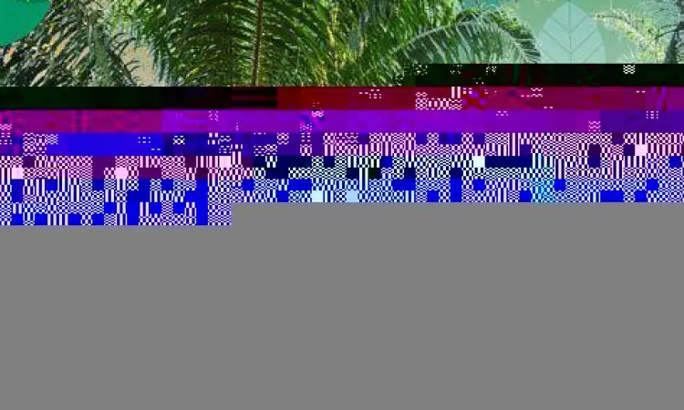 Perkebunan kelapa sawit sebagai contoh hak guna usaha