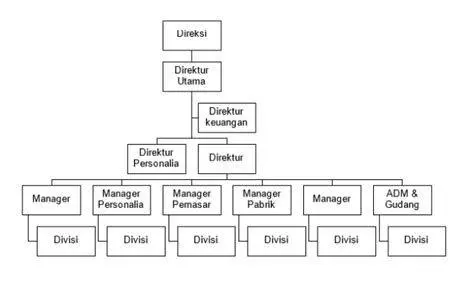 Struktur Organisasi Perusahaan Diagram struktur organisasi perusahaan profesional