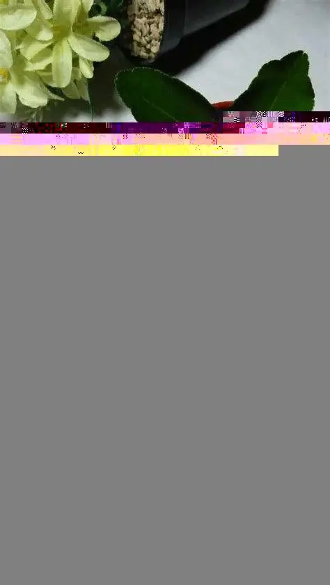 Proses Pembuatan Basreng Proses pembuatan basreng dari bakso hingga siap disantap